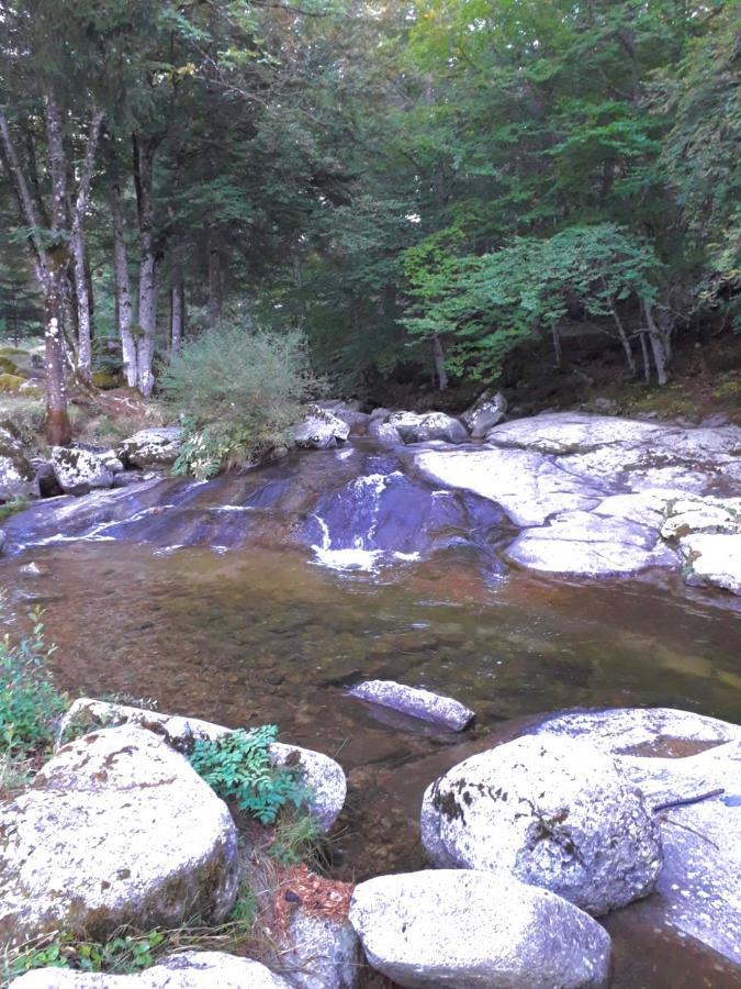 Le Pont Du Moulin Hotell Saint-Sauveur-Camprieu Exteriör bild